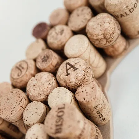 Grape Attic 72 - The House Of Travelers Daire